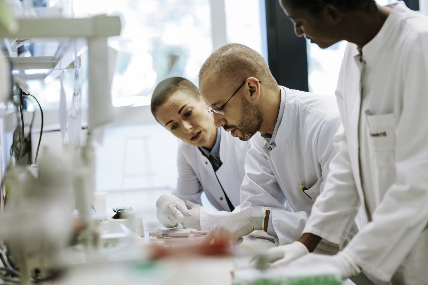 Edgewise Therapeutics stock plummets on 'Adverse Event' Drug Trial 3 July 11, 2025 5:51 pm Edgewise Therapeutics stock plummets on 'Adverse Event' Drug Trial A group of scientists work together in a laboratory.