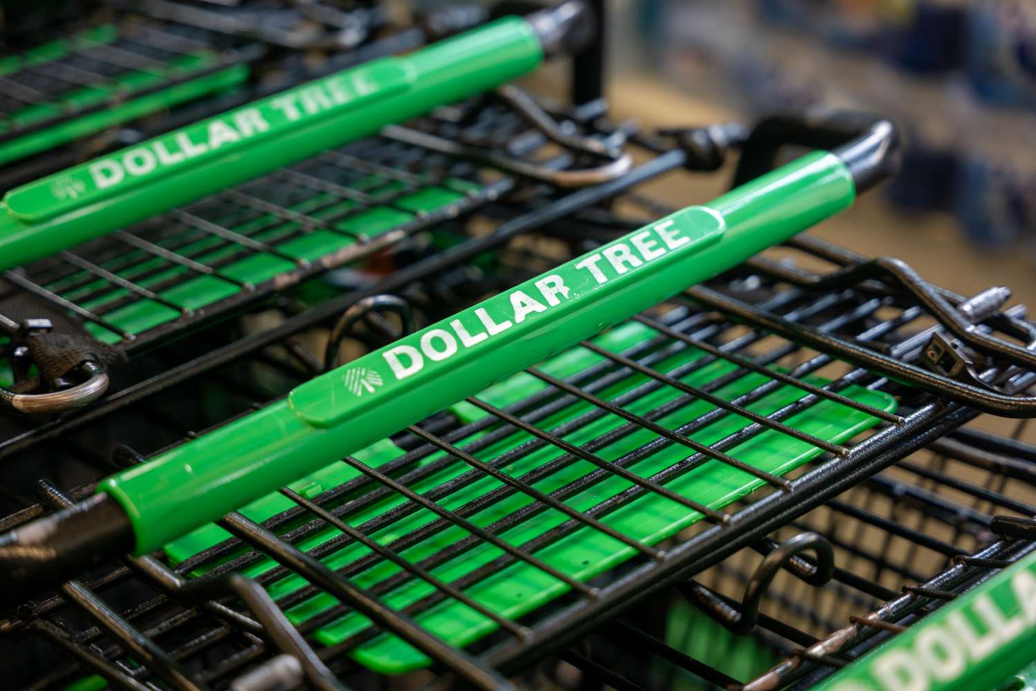 Dollar Tree stock leads S&P gainers as analysts cheer $1B Family Dollar sale 4 August 29, 2025 8:17 pm Dollar Tree stock leads S&P gainers as analysts cheer $1B Family Dollar sale The Dollar Tree logo is seen on a group of green and black shopping carts