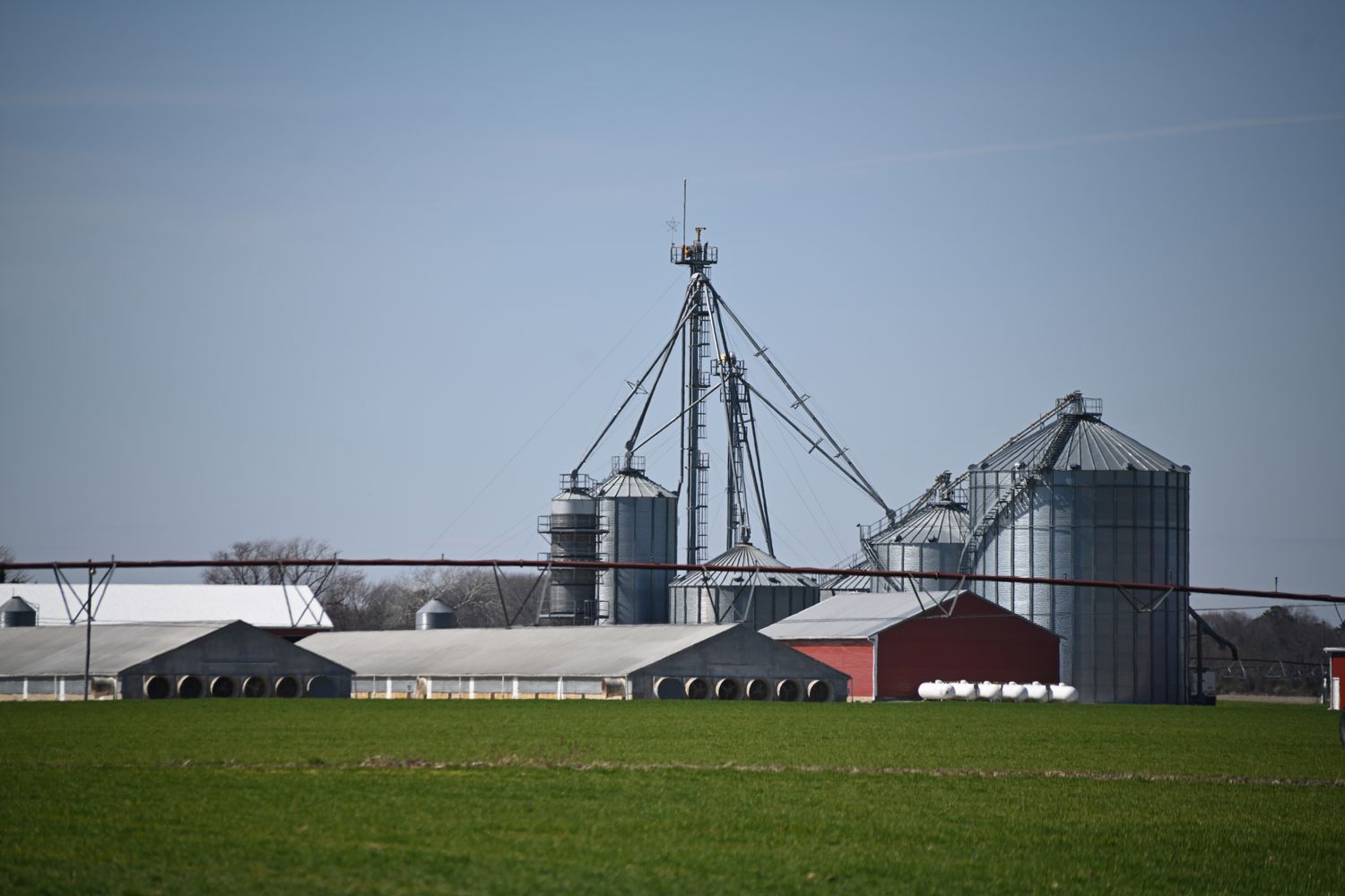 Chicken farm barn buildings with grain silos and irrigation system with green field