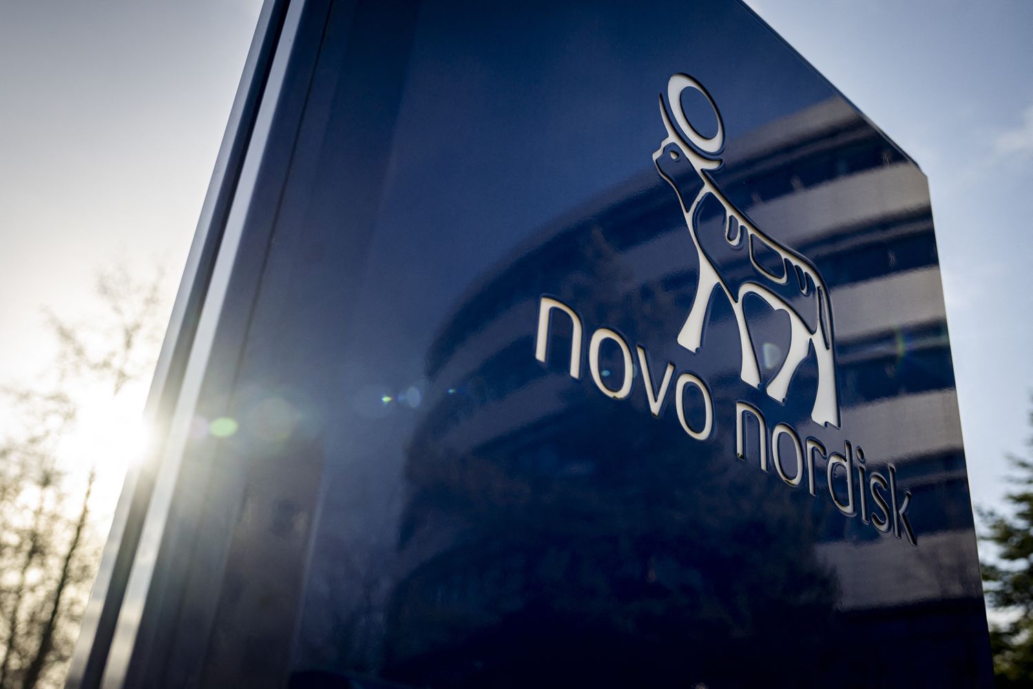 Novo Nordisk Stock Drops Due to Eli Lilly's Success in Weight Loss Drugs, Downgrade 3 October 31, 2025 4:38 pm Novo Nordisk Stock Drops Due to Eli Lilly's Success in Weight Loss Drugs, Downgrade Novo Nordisk signage